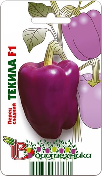 ����� ������� ������ F1