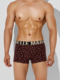 Mark Formelle   411225 411225    1050