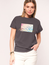 �����  Vilatte �������� �� ���������� ������������ ������� � ������� ������� D49