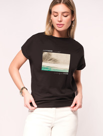 �����  Vilatte �������� �� ���������� ������������ ������� � ������� ������� D49