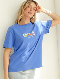 �����  Vilatte �������� �� ������������ ������ � ������� ������� D49.098 �������