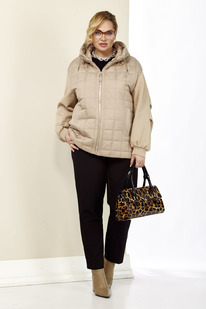 ����� ������ SHETTI 2184 �������