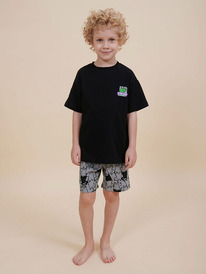 13.01 Pelican �������� ��� ��������� NFATH3353U ������