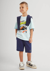 Clever ����� ������� ��� �������� CLE 866172� �.�����