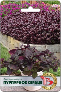 ������������� ��������� ������