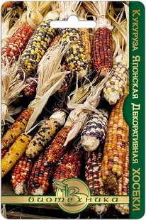 �������� �������� ������������ ������