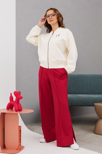 ������ INVITE 6087 �������