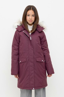 Crockid ������ ��� ��� �� 38107/6 ��