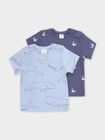 Crockid ������� (��������) �� � 301156-2��/�������,��������� ���� �����