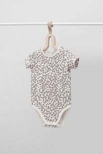 Crockid �������������� �� � 6239/������� ������������� �����