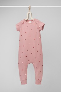 Crockid �������������� �� � 6485/������-�������,������� �����