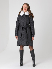 ������ DizzyWay 24325 ������