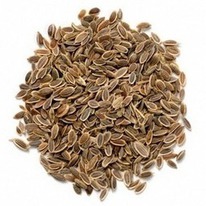 ����� ���� 50��