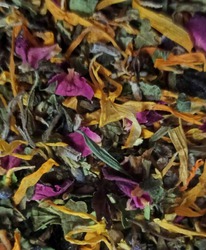 �������� ���� 