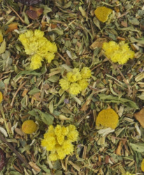 �������� ���� 