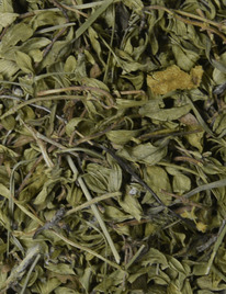 ������ ���� �100 �