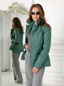 ������ DizzyWay 24120 �����-�������