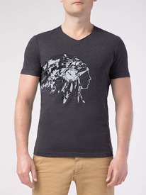 DiWaRi ������� ������� DIWARI ������� MD 750 17�-435��� ������ MD 750