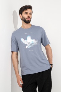 ������� (��������) ������� �����-4 ��-036 �����