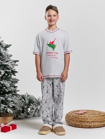 ������ ��� �������� ��������-2.2 ��-203 ���������