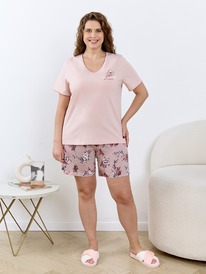 ������ �����-2 �-509 ��������