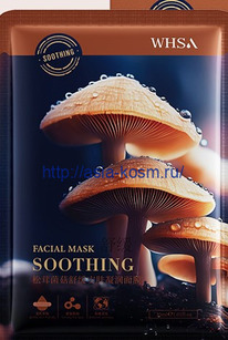 ������������� ����� WHSA � ������ ��������(23711)