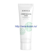 ��������������������� ��������� ����� KNIYEA � �������������� � ����������� ����