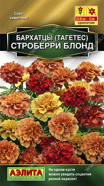 ��������� ����� �������� �����������