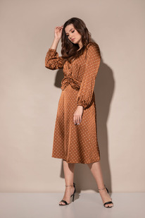 ������ MisLana 717