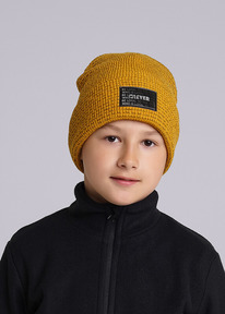 Clever ����� ������� CLE 433870�� ���������