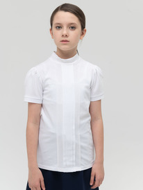 24.03 Pelican �������� ��� ������� GFTS8139 �����