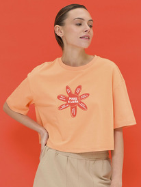 27.03  Pelican �������� (������"���") ������� DFTY6922U ���������