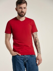 21.04 DiWaRi ������� ������� DIWARI ������� BASIC MF 310-10 10�-391��� dark red 