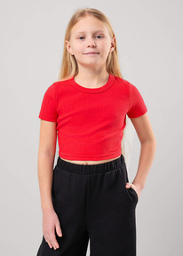 24.03 Clever �������� ������� ��� ������� CLE 856874�� �������