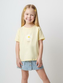 24.03 Crockid ������� (��������) ��� ��� �� 302078/��������� ����