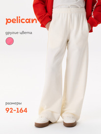 12.04  Pelican ����� ��� ������� GFP3388//1U ��������