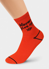 22.04 Clever ����� ������� CLE �4284 20-22,22 �������