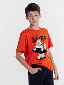 30.03  Mark Formelle �������� ��� ��������� 113433 113433 ����� +������ 75369