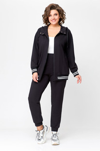 ������ Swallow 704 ������