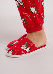 06.04  Clever ����� ������� CLE SW15-1202C �������/��������