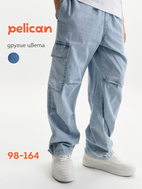 22.04 Pelican ����� ��� ��������� BGP3373 �������
