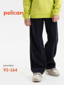 12.04  Pelican ����� ��� ��������� BFPQ3388 ������