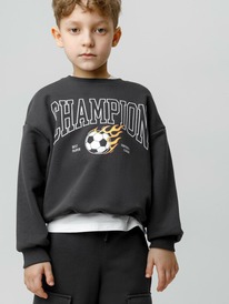 08.04 Crockid ������� (�������) ��� ��� �� 302843/������������ 3902 �594