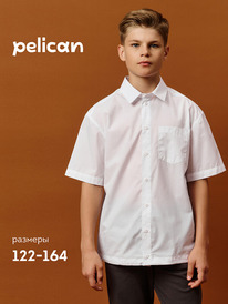 08.04 Pelican ������� ������� ��� ��������� BWCT7121 �����