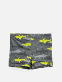 08.04 Acoola ����� ��������� ������� ��� ��������� Orlando 20124730022 ���� ����