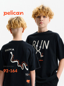 08.04 Pelican �������� ��� ��������� BFT3388/6 ������
