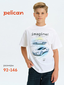 12.04  Pelican �������� ��� ��������� BFT3377/5 �����