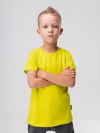 12.04  Bodo �������� 113-��6�� 113-��6�� ���������