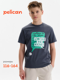 12.04  Pelican �������� ��� ��������� BFT3389/1 �����