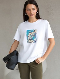 21.04 Vilatte �������� D49.145 �����_everyday